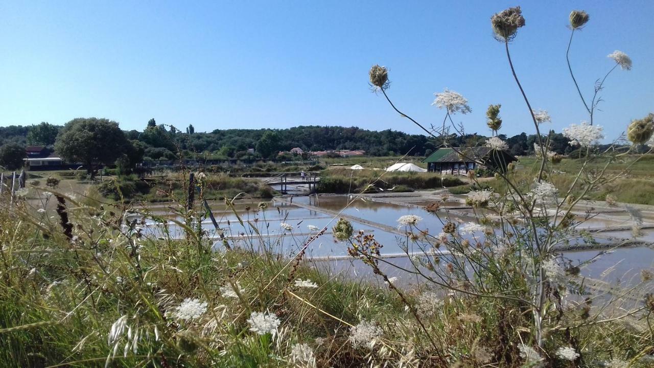 La Chaumette Βίλα Les Sables-dʼOlonne Εξωτερικό φωτογραφία